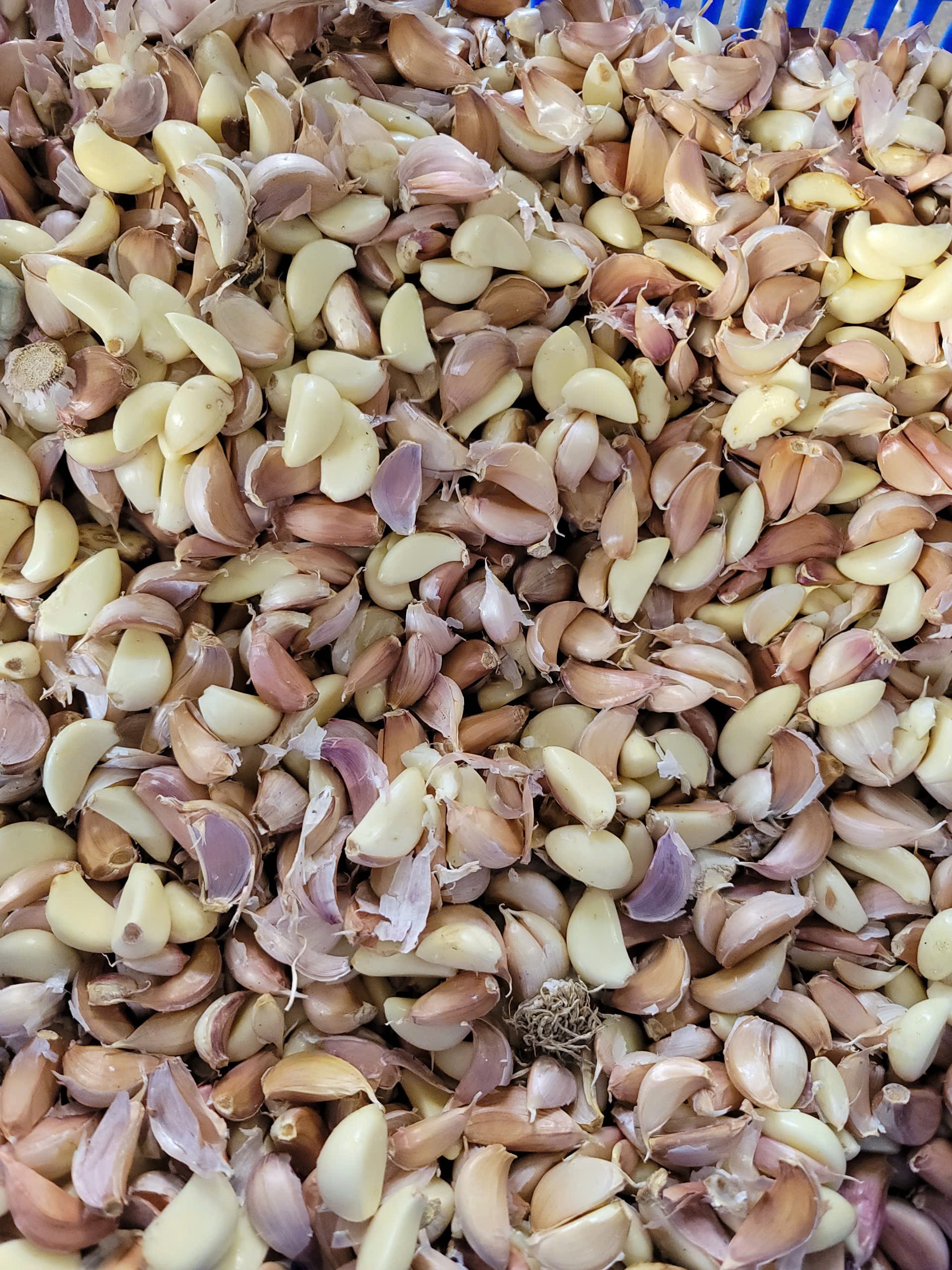 Alternative view of Máy Tách Củ Thành Tép